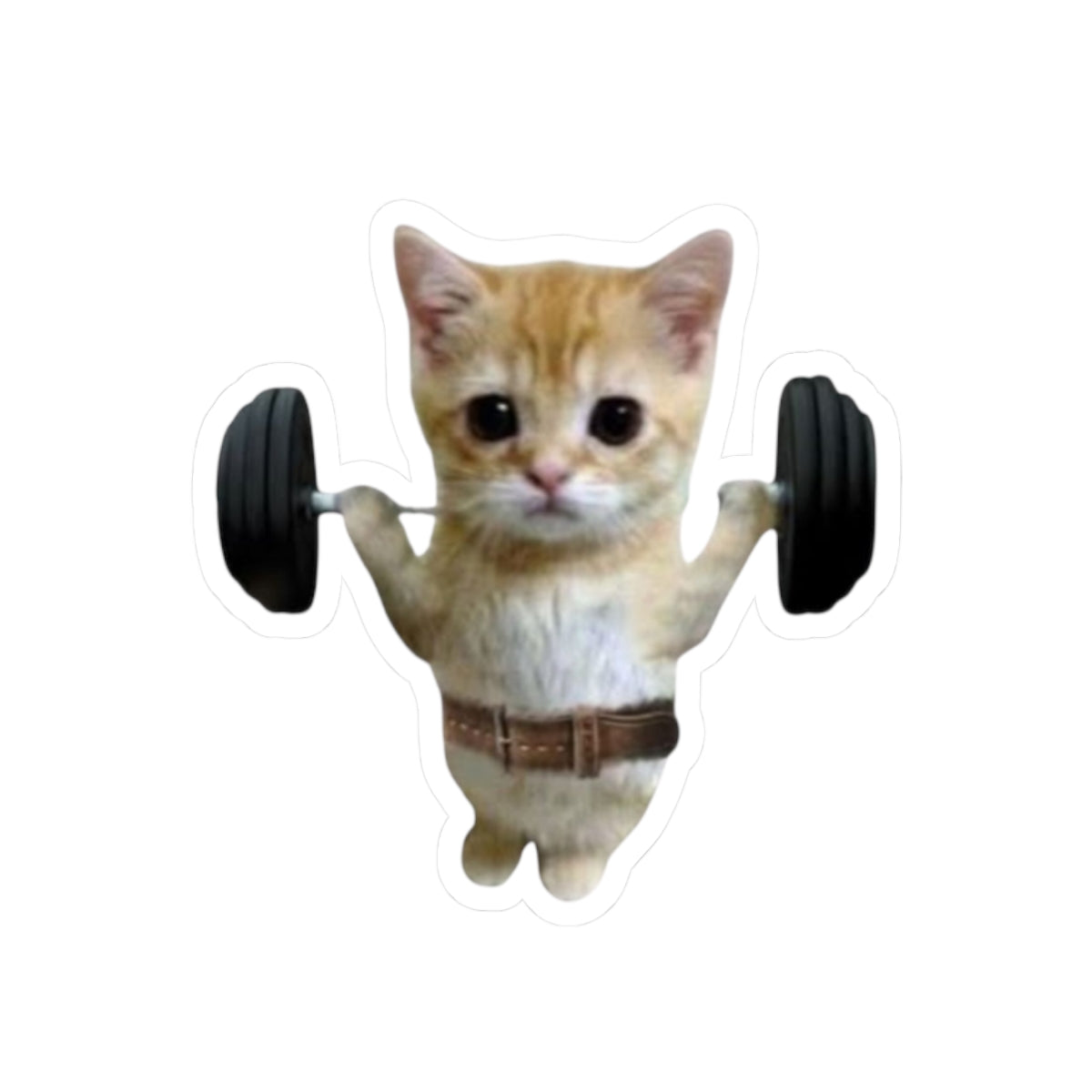Gym Kitty Kiss-Cut Sticker | water bottle sticker, kindle sticker, laptop decal, luggage sticker, Meme sticker, Mexican sticker