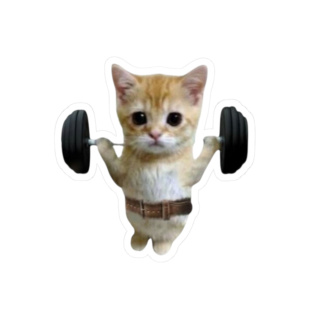 Gym Kitty Kiss-Cut Sticker | water bottle sticker, kindle sticker, laptop decal, luggage sticker, Meme sticker, Mexican sticker