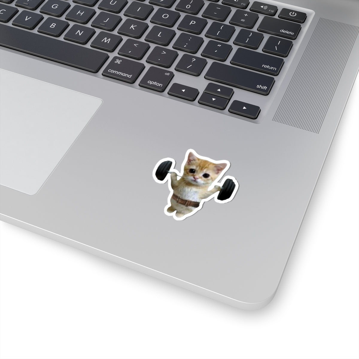 Gym Kitty Kiss-Cut Sticker | water bottle sticker, kindle sticker, laptop decal, luggage sticker, Meme sticker, Mexican sticker