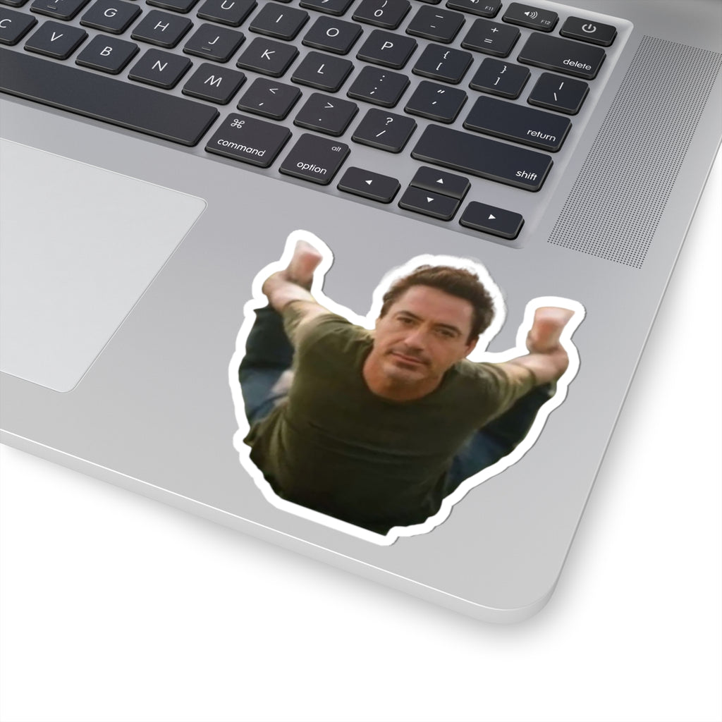 Funny Robert Jr Kiss-Cut Sticker | water bottle sticker, kindle sticker, laptop decal, luggage sticker, Meme sticker, Mexican sticker