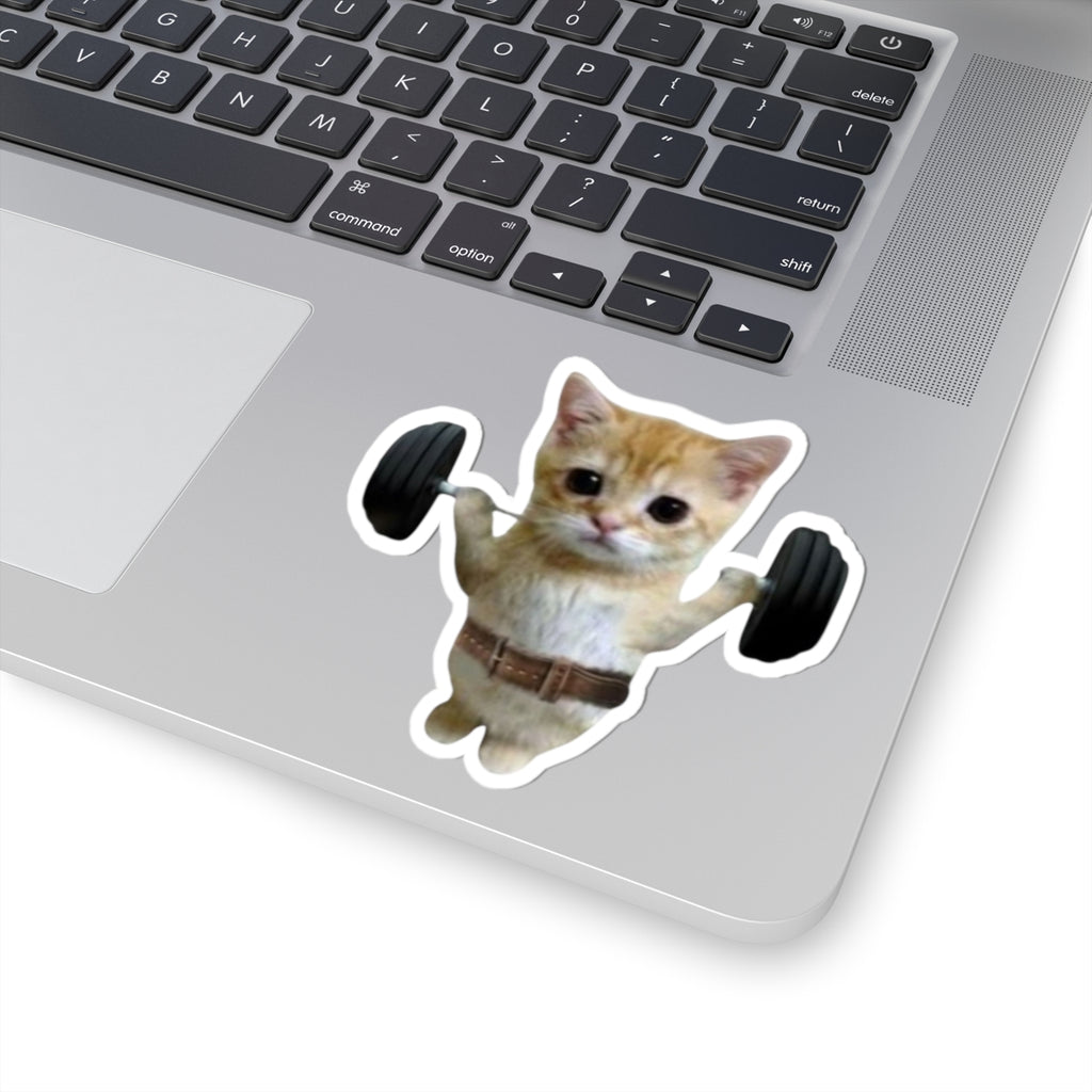 Gym Kitty Kiss-Cut Sticker | water bottle sticker, kindle sticker, laptop decal, luggage sticker, Meme sticker, Mexican sticker